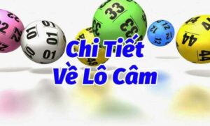 Thông tin chi tiết về phương thức soi cầu lô câm người mới cần nắm rõ