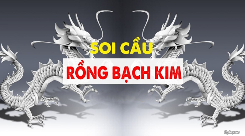 Tổng quan về loại hình soi cầu rồng bạch kim